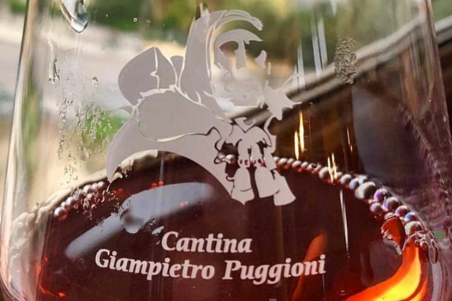 Parliamo della Cantina Puggioni!