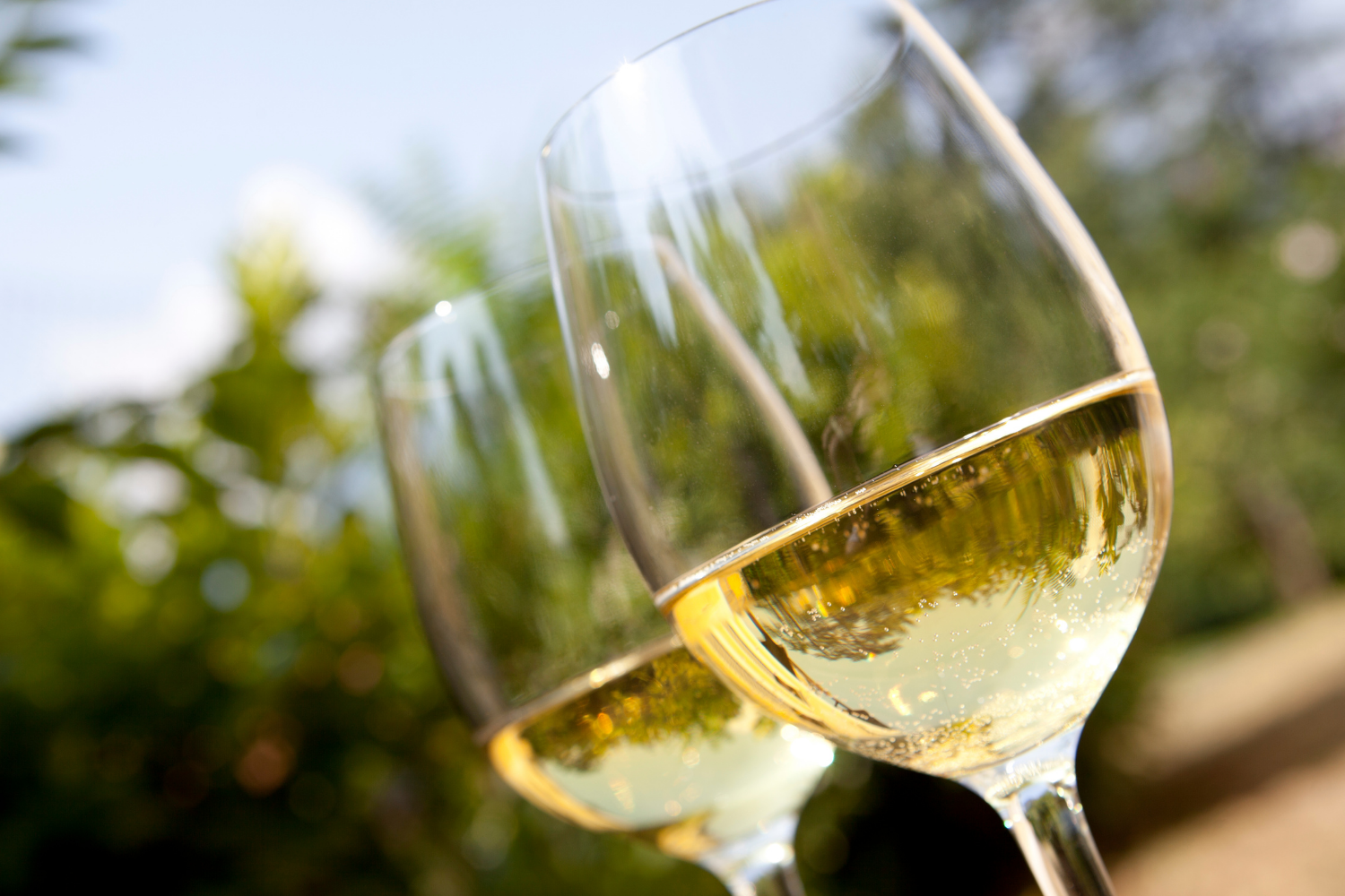 Vermentino di Sardegna: Vini e Cantine eccellenti