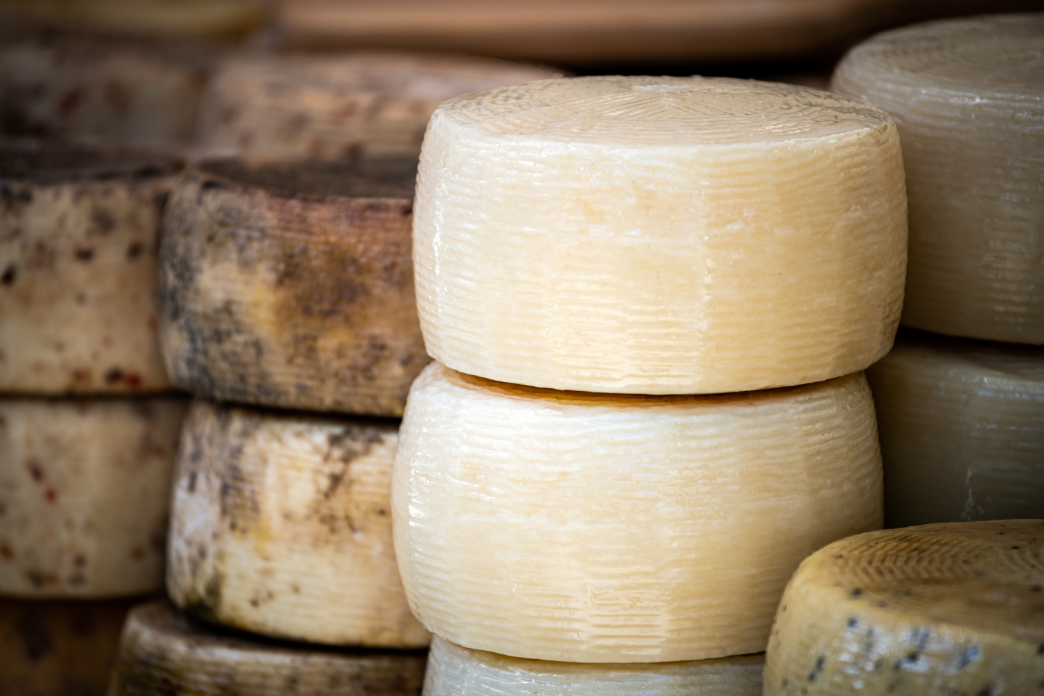 Il Pecorino sardo