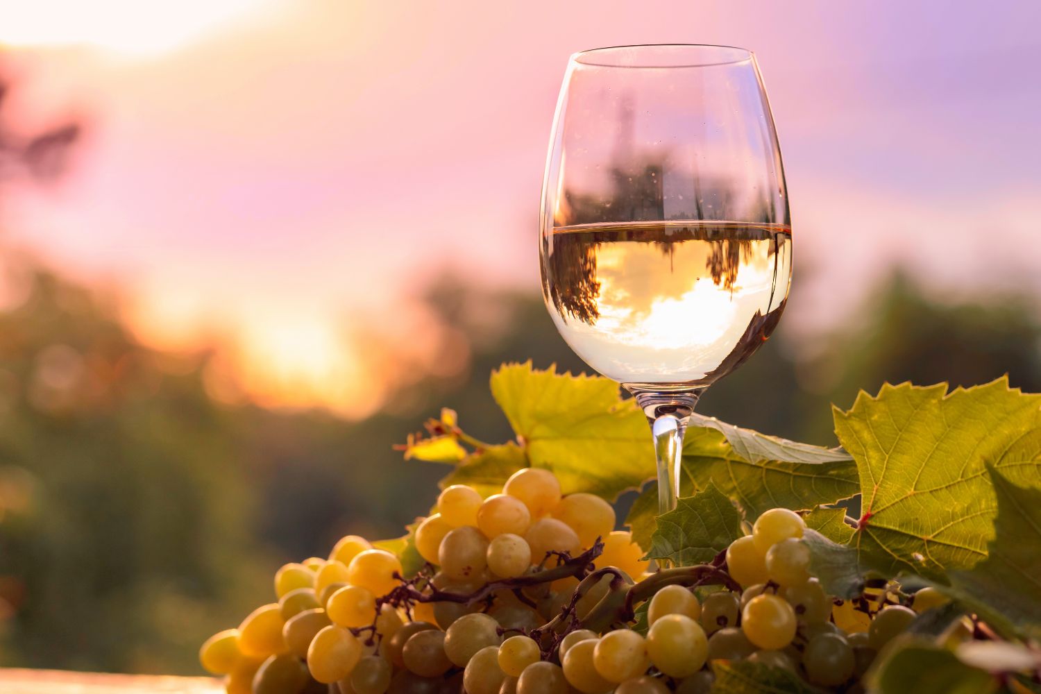 Vinitaly-2023