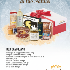Campidanu